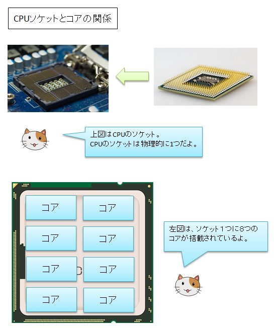物理CPUのソケットとコアの関係を図解
